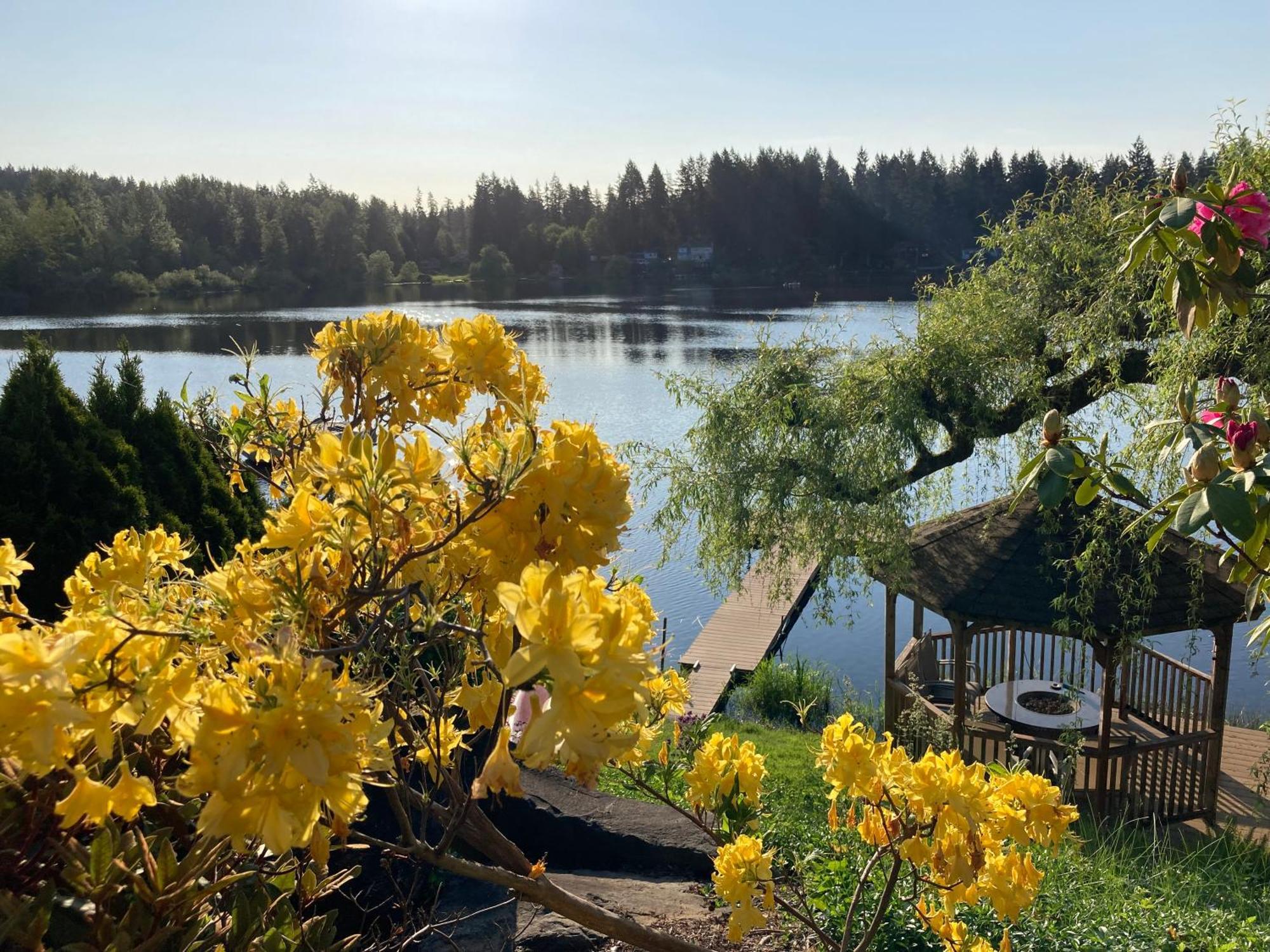 Cottage Lake Bed And Breakfast วูดินวิลล์ ภายนอก รูปภาพ