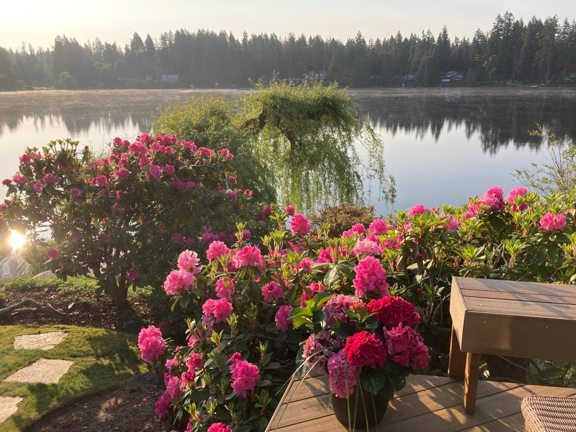 Cottage Lake Bed And Breakfast วูดินวิลล์ ภายนอก รูปภาพ