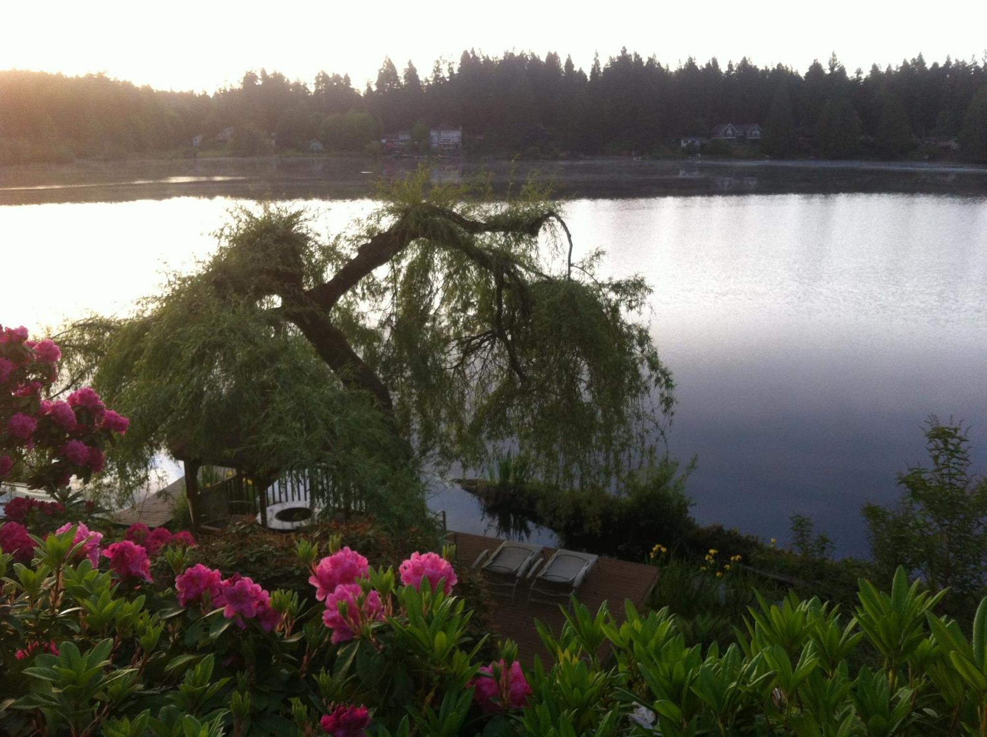 Cottage Lake Bed And Breakfast วูดินวิลล์ ภายนอก รูปภาพ